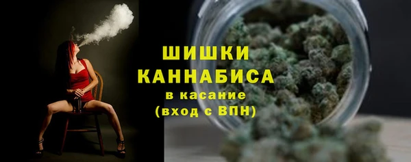мдпв Коряжма